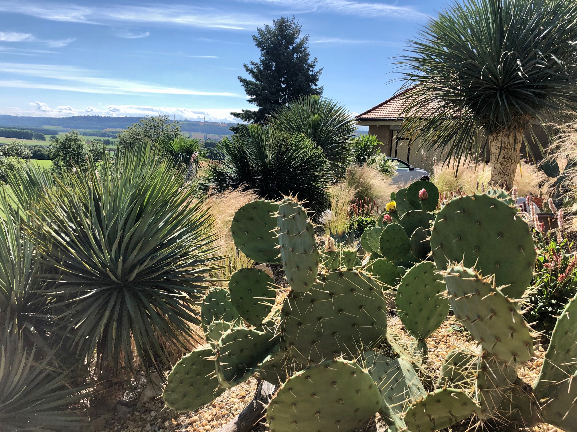 Notre jardin exotique à Orbe - Oasis Garden
