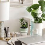 What is the best plant for you?