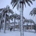 Les protections hivernales