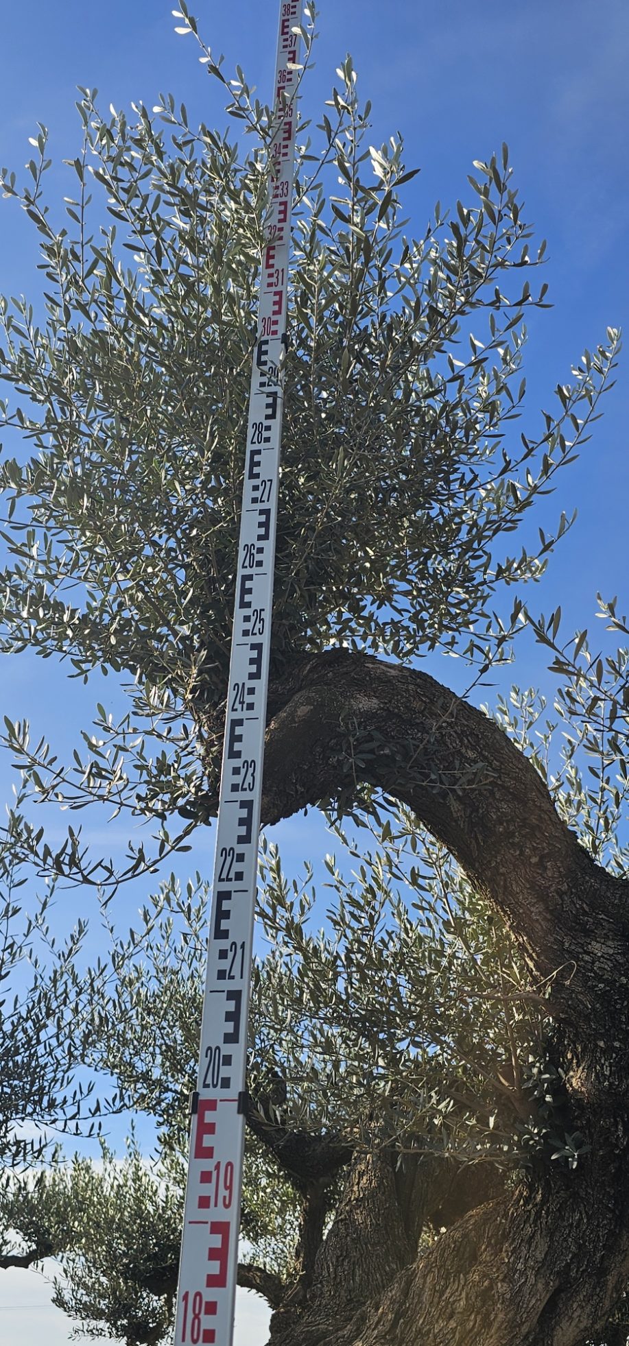 Spécimen numéro 1 . Dès mars 2026 – Image 5