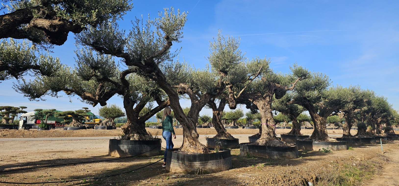 Spécimen numéro 1 . Dès mars 2026 – Image 4