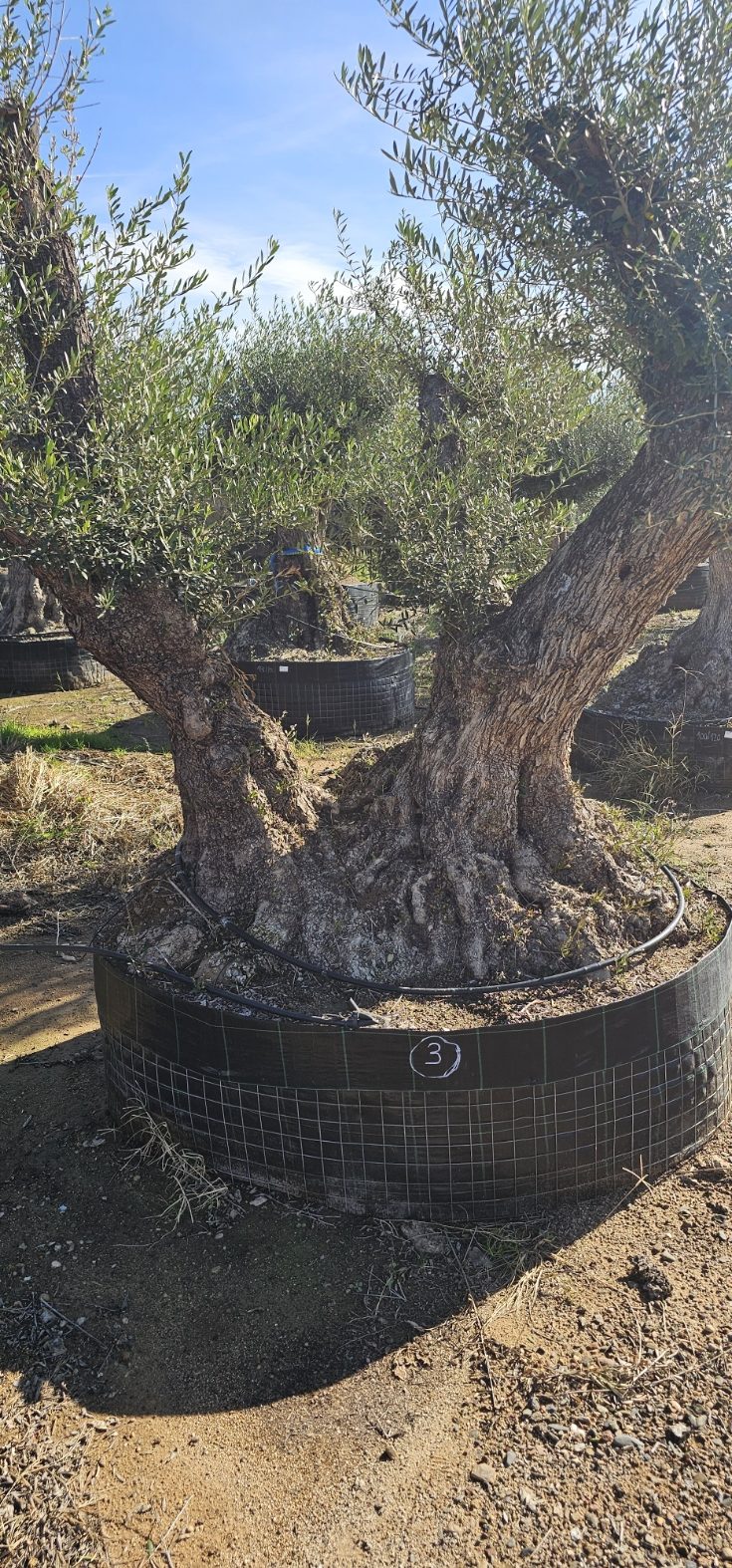 Spécimen numéro 3. Dès mars 2026 – Image 3