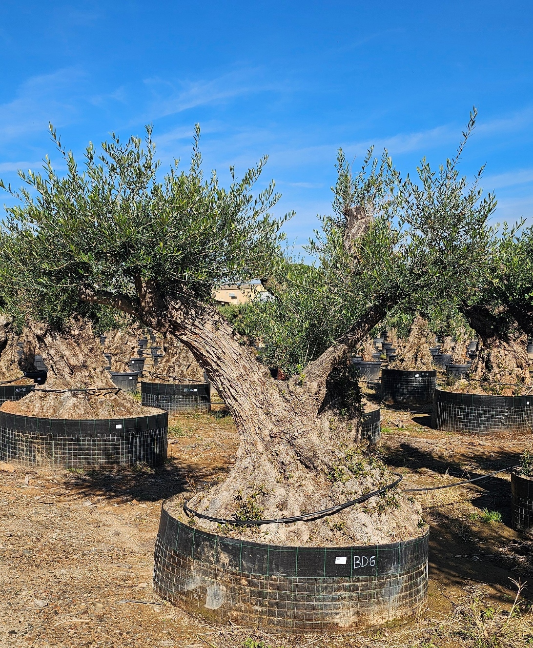 Spécimen numéro 3. Dès mars 2026 – Image 4